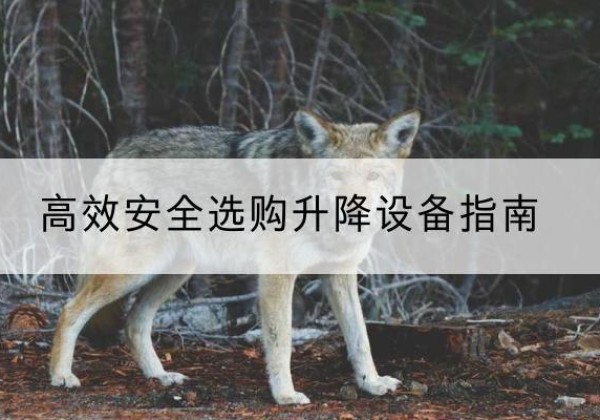 红古升降货梯厂家推荐-*安全选购升降设备指南