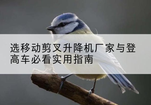 红古电动升降机厂家-选移动剪叉升降机厂家与登高车必看实用指南