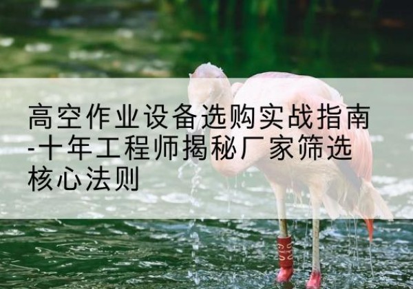 红古剪叉式升降机厂家-高空作业设备选购实战指南-十年工程师揭秘厂家筛选核心法则